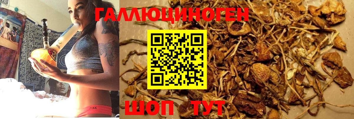 Горно-Алтайск  Псилоцибиновые грибы мухоморы  закладка  Псилоцибиновые грибы MAGIC MUSHROOMS  Вход с VPN 